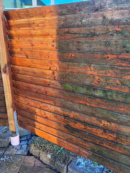 Reinigung Sichtschutz 1. Durchgang Halbseitig Reinigung Sichtschutz 1. Durchgang Halbseitig