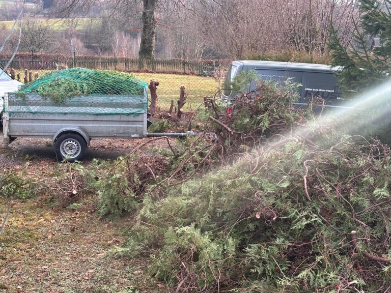 Abtransport Schnittgut